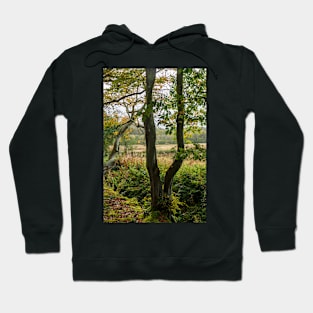 Autumn Tree Landscape Scene Hoodie